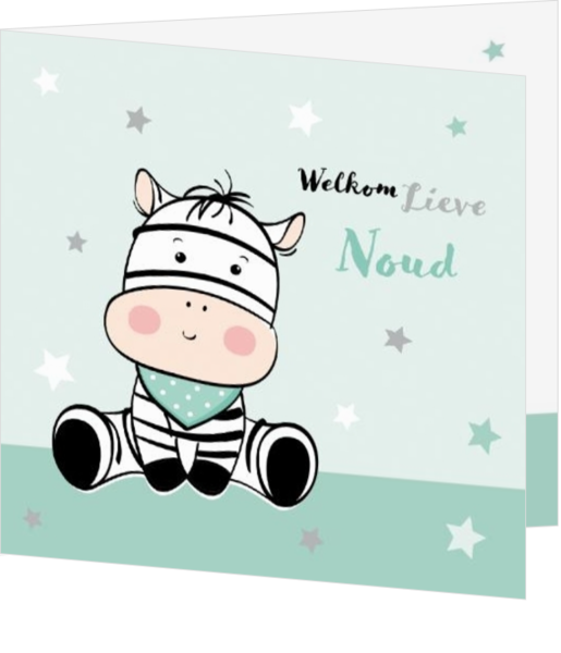 Geboortekaartjes collectie Happy Baby - kaart 211021-00