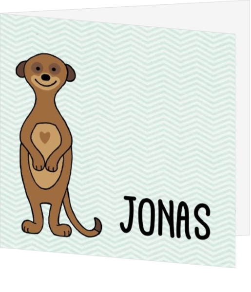 Geboortekaartjes collectie JippieJippie  - kaart JJ129-J