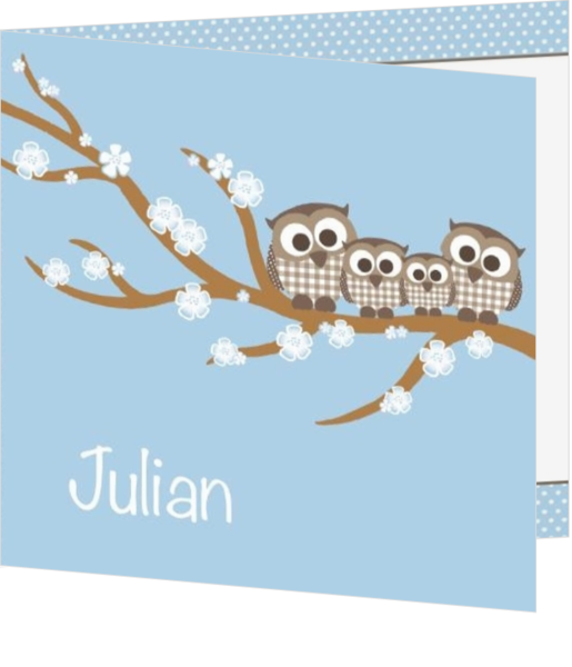 Geboortekaartjes kleur blauw - kaart JJ117-J