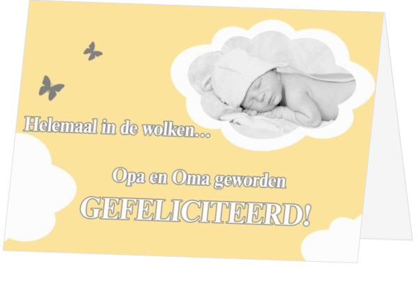 Hoera Opa of Oma geworden! - kaart gefeliciteerd-opa-en-oma-jb-15004