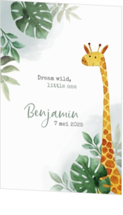 Geboortekaartje met giraf - kaart 201008-00