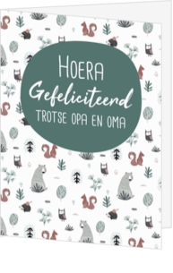 Hoera Opa of Oma geworden! - kaart LCM455