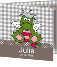 Stoer geboortekaartje collectie - kaart JJ022