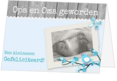Hoera Opa of Oma geworden! - kaart gefeliciteerd-opa-en-oma-jb-15002