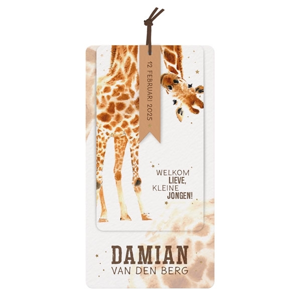Geboortekaartje met giraf - kaart 610022