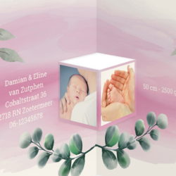 Drieluiken geboortekaartjes - kaart AG006-M