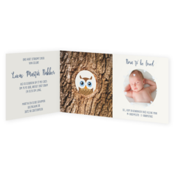 Geboortekaartjes jongen - kaart LC364-J