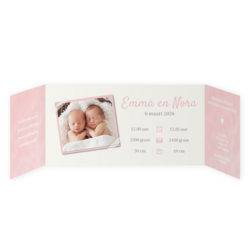 Tweeling geboortekaartjes - kaart LC803-MM