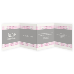 Geboortekaartjes kleur roze - kaart JJ113-M