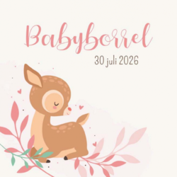 Babyborrelkaartje & kraamfeest - kaart KB648-M